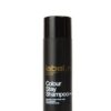 Label.M Color Stay Shampoo
