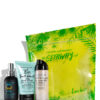 Bumble and Bumble The Getaway Summer Set Fine Hair